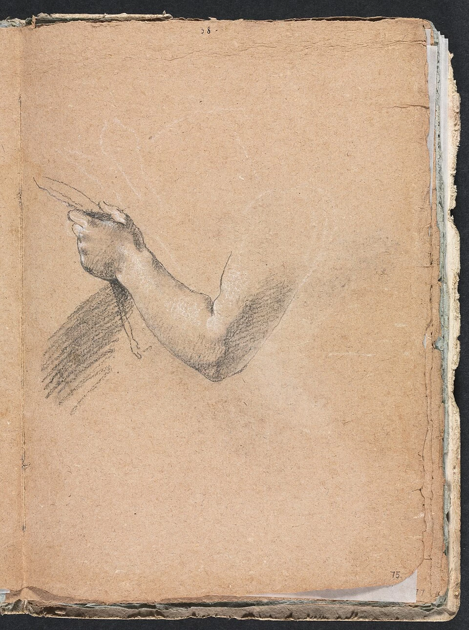 Braccio e mano sinistri - Cleveland Museum of Art 2